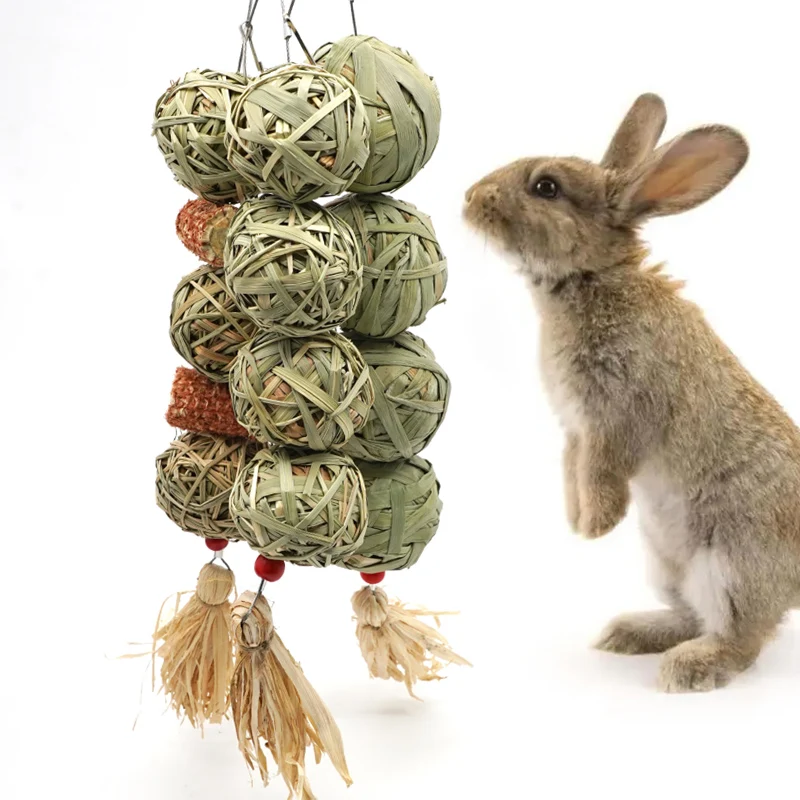 Jouets à mâcher pour lapin, en bois de pommier naturel et biologique, pour lapins, chinchillas, cochons d'Inde et hamsters. – Image 24