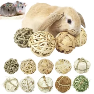 10 modèles de balles en bois naturel pour lapin, hamster, cochon d'Inde (diamètre de 7 cm)