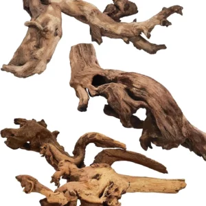 Petites branches d'arbre naturel 5-10CM, de différentes formes
