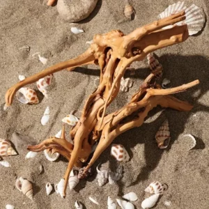 Bois pour décor vivarium reptiles 7-26CM en 4 tailles