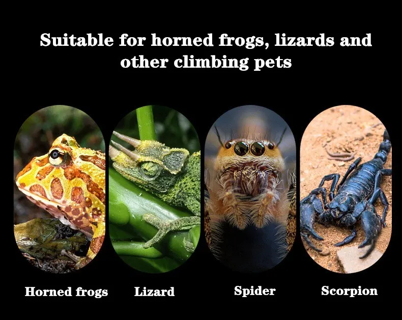 Hamac en fibres naturelles pour reptiles comme le gecko et hamster – Image 24