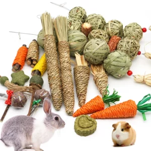 Jouets à mâcher pour lapin, en bois de pommier naturel et biologique, pour lapins, chinchillas, cochons d'Inde et hamsters.