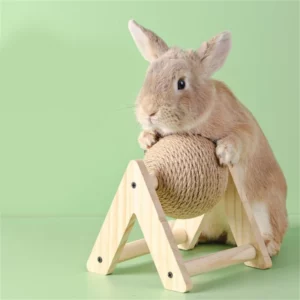 Boule pour lapin domestique