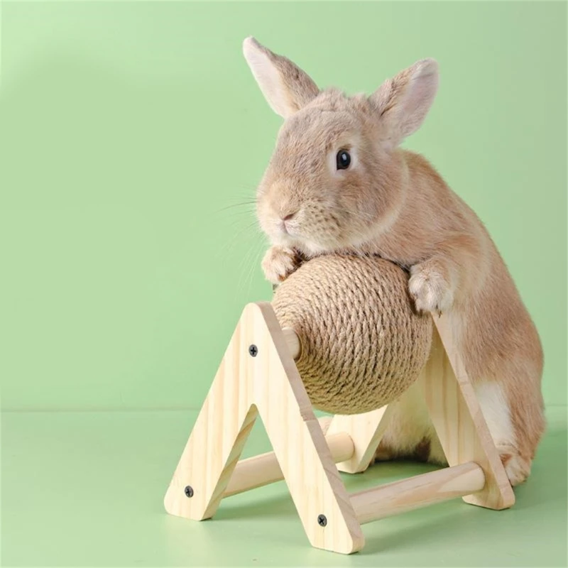 Boule pour lapin domestique