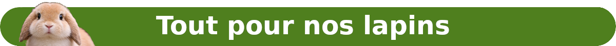 Les produits de la boutique autour du lapin Les produits de la boutique autour du lapin