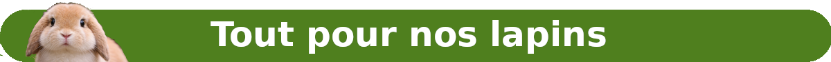 bannierre-lapin