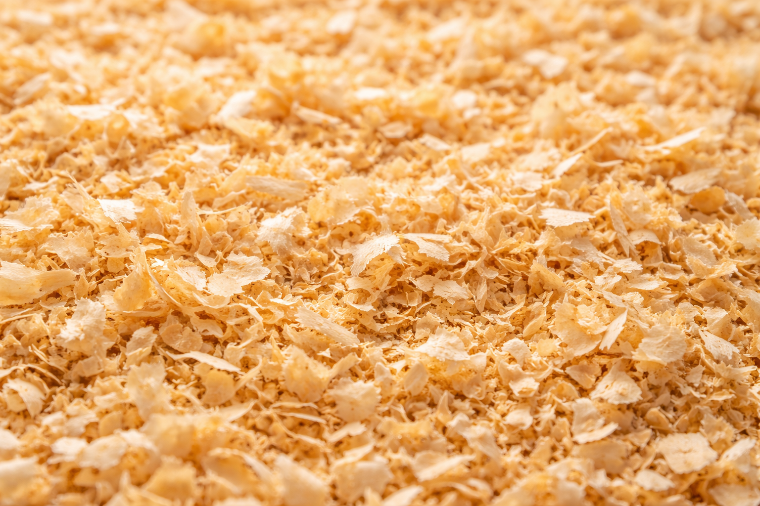 lapin mangeant des granulés dans une gamelle