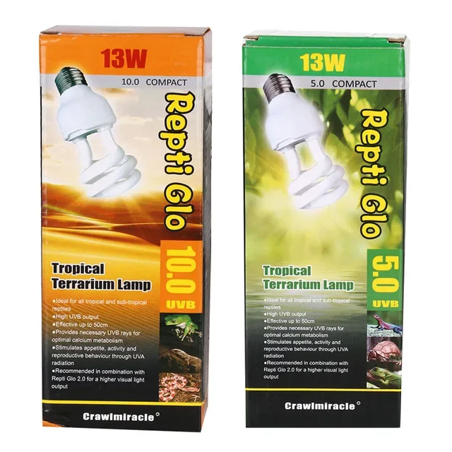 Lampe UVB pour reptile