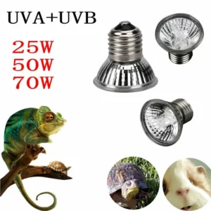 ampoule uva uvb pour reptiles
