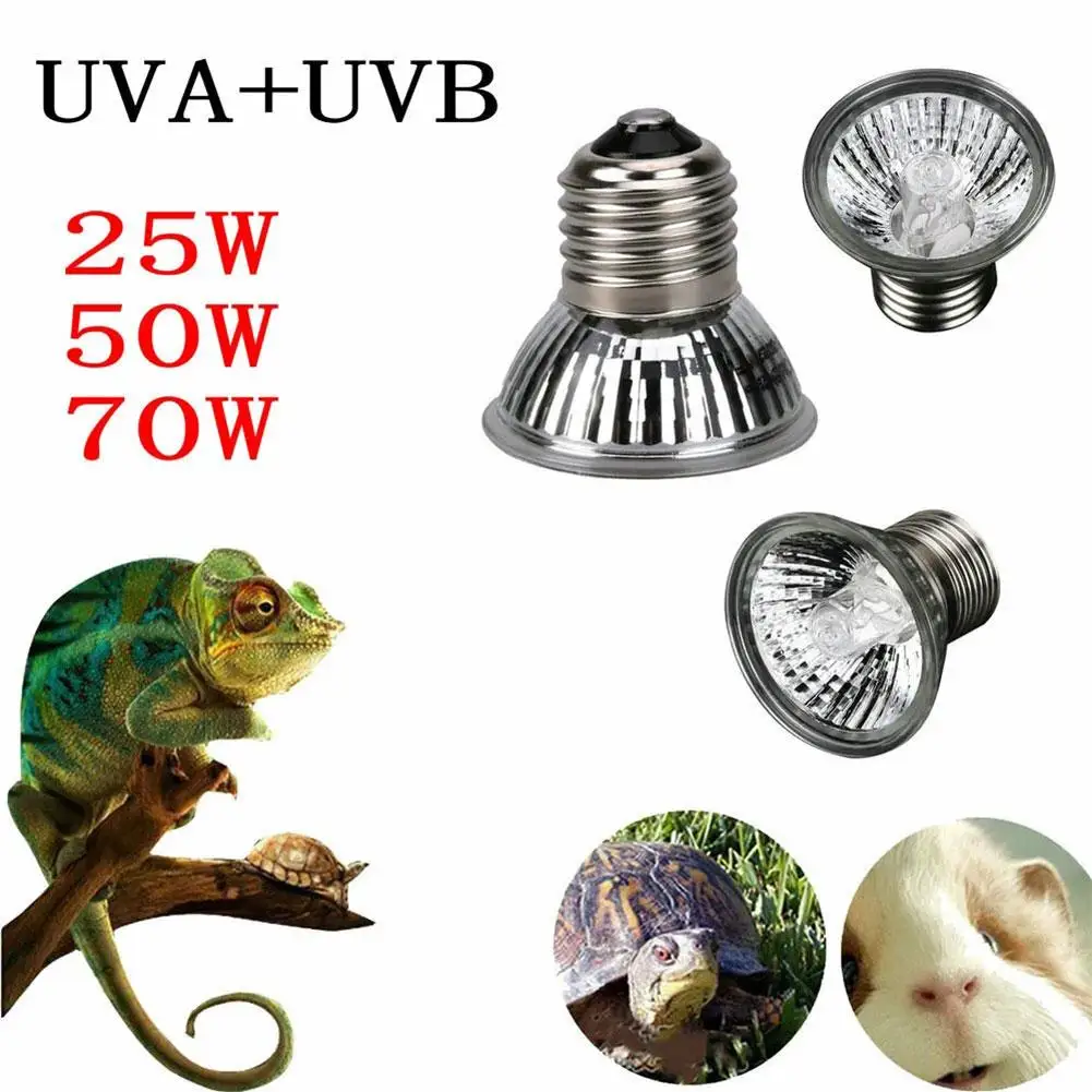 ampoule uva uvb pour reptiles