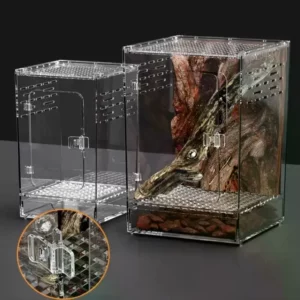 Boîte d'élevage en acrylique transparent pour bébés reptiles, araignées...