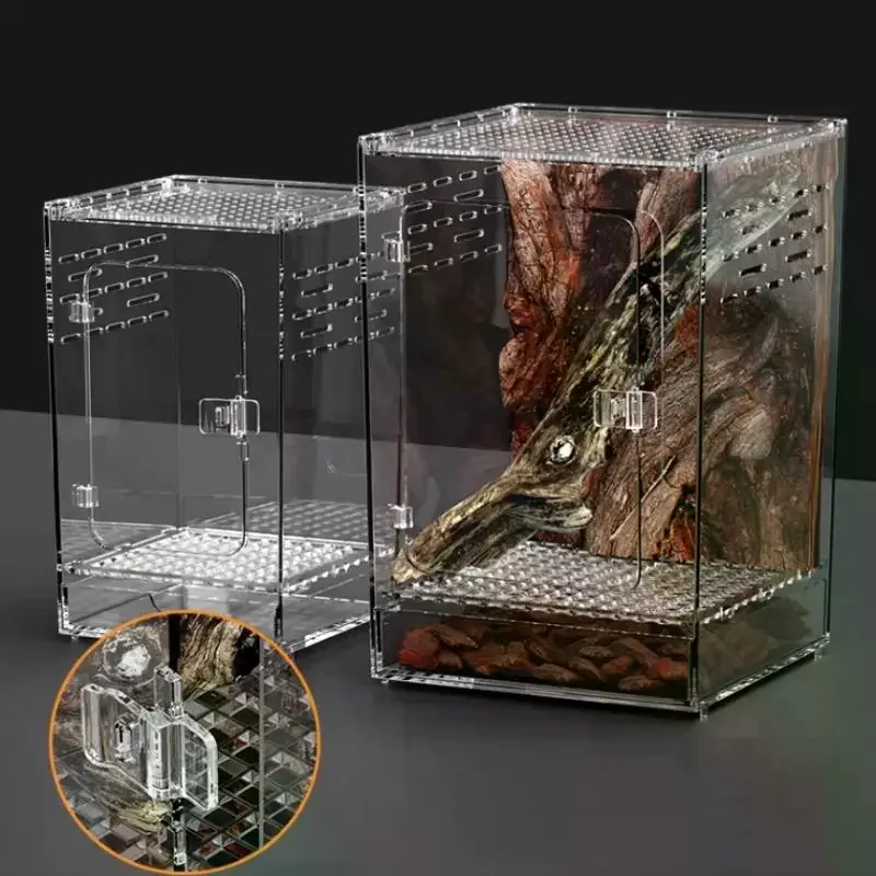 Boîte d'élevage en acrylique transparent pour bébés reptiles, araignées...