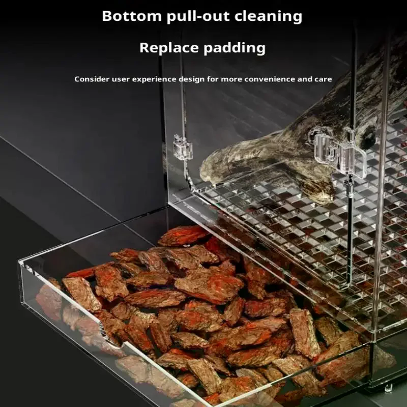 Boîte d'élevage en acrylique transparent pour bébés reptiles, araignées... – Image 2