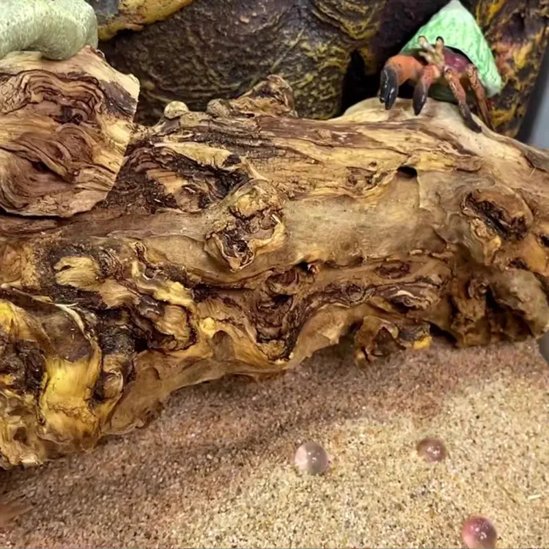 Branche de bois naturel pour terrarium (40cm) – Image 2