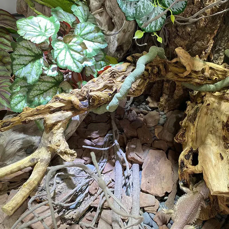 Branche de bois naturel pour terrarium (40cm) – Image 4