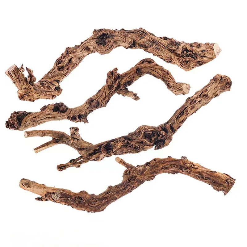 Branche de bois naturel pour terrarium (40cm)